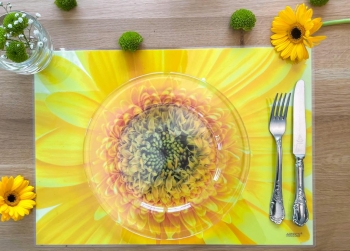 Tischset Platzset abwaschbar Sunny von ARTIPICS Kunststoff 42x30 cm